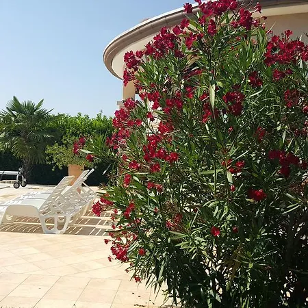 Villa Parenzo Porec Esterno foto